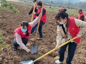安慶市大觀區檢察院：綠意盎然共筑夢 追尋足跡悟初心