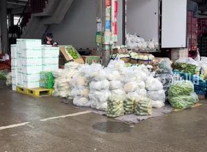 时令春菜陆续上市 记者探访合肥市场 这一口“春天的味道”你尝了吗？