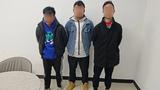 3人拉车门盗窃，被芜湖警方抓获