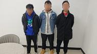 3人拉車門盜竊，被蕪湖警方抓獲