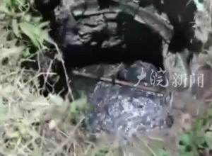 3名儿童掉入化粪池身亡孩子爸爸：化粪池为何没有井盖希望尽快查清楚 给孩子一个说法