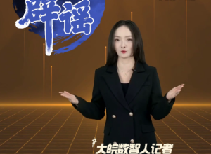大皖一周辟谣 2024年第11期