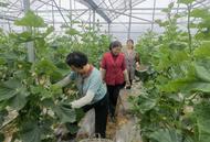 宜秀區羅嶺鎮羅嶺社區：多舉措推進人居環境整治 擦亮鄉村振興底色