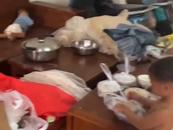 女子出門打工3娃被鎖家中？海南當地回應：女子生有5個孩子，已辦理低保