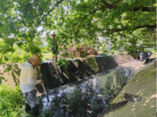 肥西縣豐樂鎮(zhèn)：水塘河道清淤行動 筑牢防汛“安全壩”