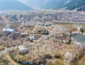 淮北相山區(qū)：在綠水青山間打造宜居家園