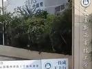 云南一学校被曝强制学生进厂“打螺丝”还克扣工资，校方律师回应