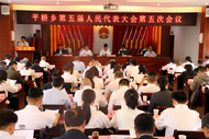 平橋鄉(xiāng)圓滿召開五屆人大五次會議暨民生實事項目票決制觀摩會