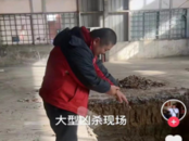 編造“肥西上派鎮發生槍戰”   安徽發布10起打擊整治網絡謠言典型案例