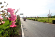 全力守護春耕季公路安全