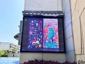 小小“綠書簽” “護苗”在行動——鐵二小開展“綠書簽”護苗行動