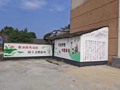 宜秀區白澤湖鄉龍華村：黨建引領基層治理，文明鄉風浸潤民心