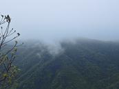 春游江淮请您来｜茶浓花香，芜湖三公山邀您看日出