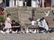 九華山風景區(qū)九華老街成功創(chuàng)建省級旅游休閑街區(qū)