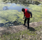 常墳鎮五路村：整治環境再發力 繪就和諧新風貌