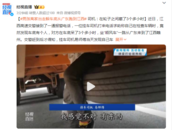男孩離家出走躲車底，從廣東跟車跑到江西