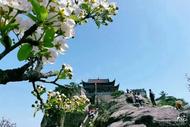九華山風(fēng)景區(qū)再發(fā)通告，明確“高鐵+旅游”優(yōu)惠活動(dòng)優(yōu)惠票購(gòu)票辦法