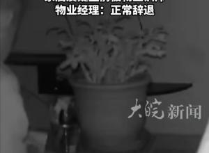 71岁保洁被辞退后在物业办公室轻生 留3封遗书称被“逼出来的” 家属质疑生前被物业训斥  物业经理：正常辞退