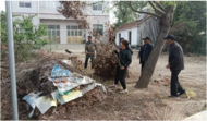 小溪鎮路李村：清理枯枝爛葉，提升鄉村“顏值”