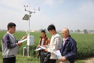 濉溪縣四鋪鎮：氣象服務到田間 春種春管有保障