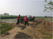 蕪湖白茆鎮黑沙洲社區：實實在在辦好惠民利民實事  