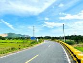 巢湖市漁任路獲評安徽省農(nóng)村公路品質(zhì)示范路