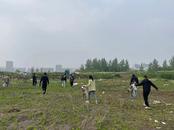 宜秀區大橋街道九塘村：開展愛國衛生運動 扮靚轄區人居環境