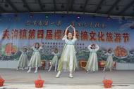 宿州市埇橋區(qū)夾溝鎮(zhèn)第四屆櫻桃采摘文化旅游節(jié)開幕  