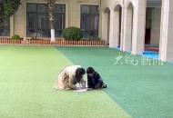 課間孩子喊住老師問問題 師生操場上席地交流