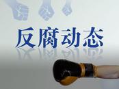 生活腐化堕落！经芜湖市委批准，凤海飞被双开