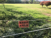合肥杏花公園大草坪封閉多日，記者探訪系草坪“輪休”！園林部門回應
