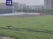 越野车驶入麦田肆意碾轧！车主：不认识麦子，以为是荒草