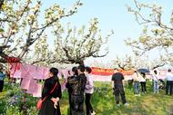 淮南：“婚戀相親角”走進(jìn)梨花園