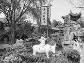 关峰：独唱城外杏花村