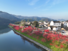 4日15时02分清明：春和景明正当时