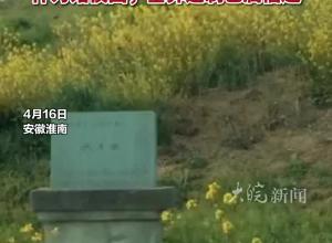聚焦武王墩墓考古新发现 知名专家宫希成：作为诸侯国，墓葬建制已属僭越