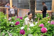 鄉村庭院牡丹香   示范村民美環境
