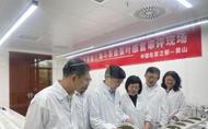 安徽黃山：111種名茶亮相斗茶會，角逐茶王