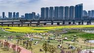 蚌埠：清明假期趣踏青