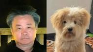 莫言和余華的微信頭像火了！網友熱議