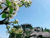 清明假期九華山風景區(qū)共接待游客11.05萬人次