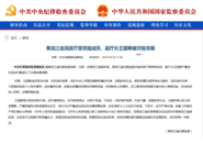 經黑龍江省委批準，王國黎被開除黨籍