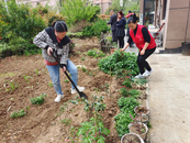 望城街道和諧社區：清理小區菜地 優化美化環境