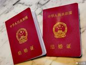 合肥庐阳区：“520”领证可“预审办”