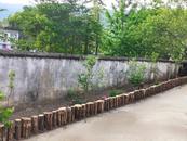 打造特色庭院，共建和美司空  