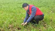 巢湖市黃麓鎮：高標準農田整治盤活土地資源  繪制鄉村振興宏偉藍圖