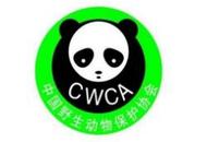 中國野生動物保護協會：確保2025年實現一對大熊貓抵達舊金山
