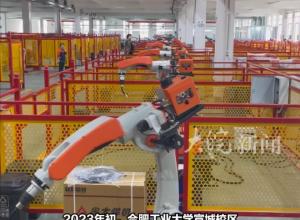 筑梦现代化 共绘新图景 宣城“科技副总”模式 为企业送去“特效药”