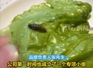 男子称吃出蚂蝗反遭餐厅店员怒怼“ 有虫说明蔬菜新鲜” 郑州市场监管部门：已立案