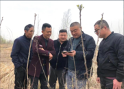 河溜鎮：構建多元解紛平臺 促進鄉村治理提質